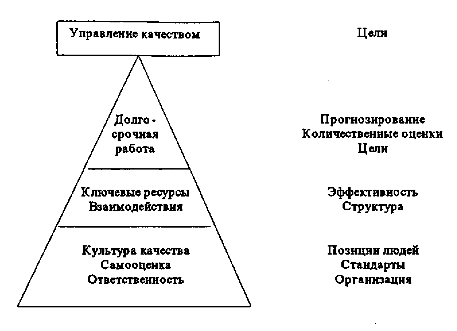 Какой уровень организации изображен на рисунке