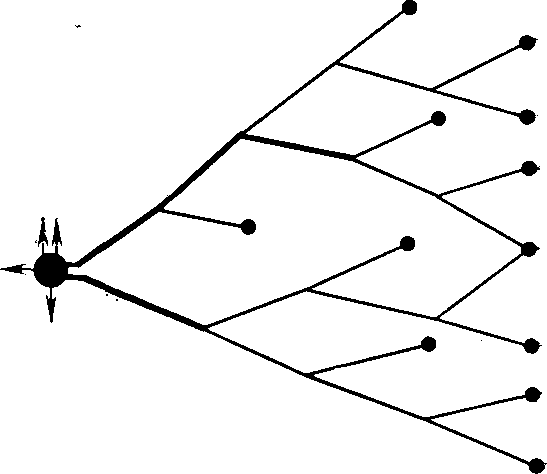 схема радиальной сети